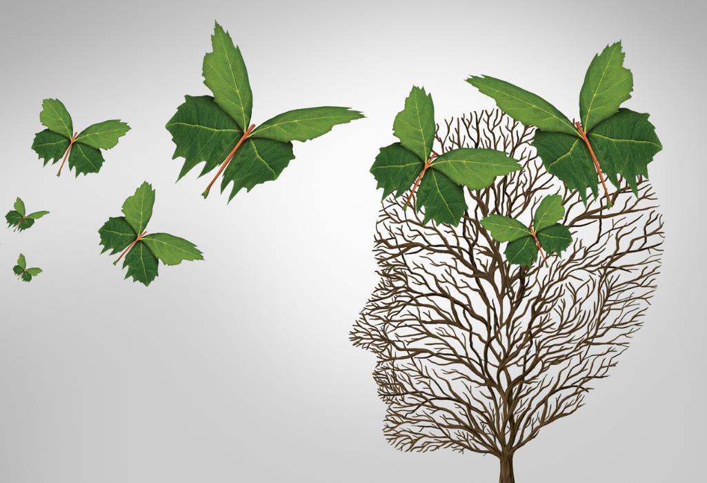 La Thérapie brève orientée solution aux côtés de Nicole Visentin